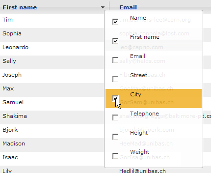 Screenshot depicting 'click on the checkbox besides the column names to activate or deactivate the columns'